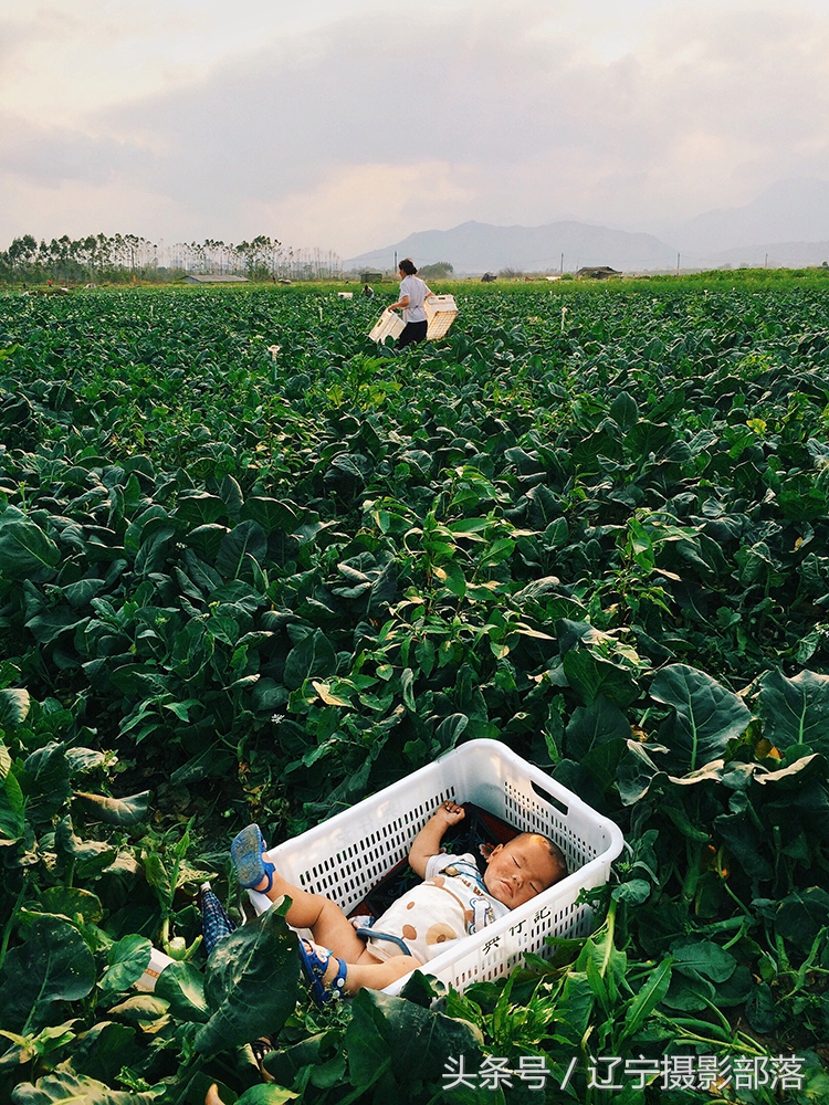 2020年ipa摄影奖获奖作品,ippa摄影大赛获奖作品2010