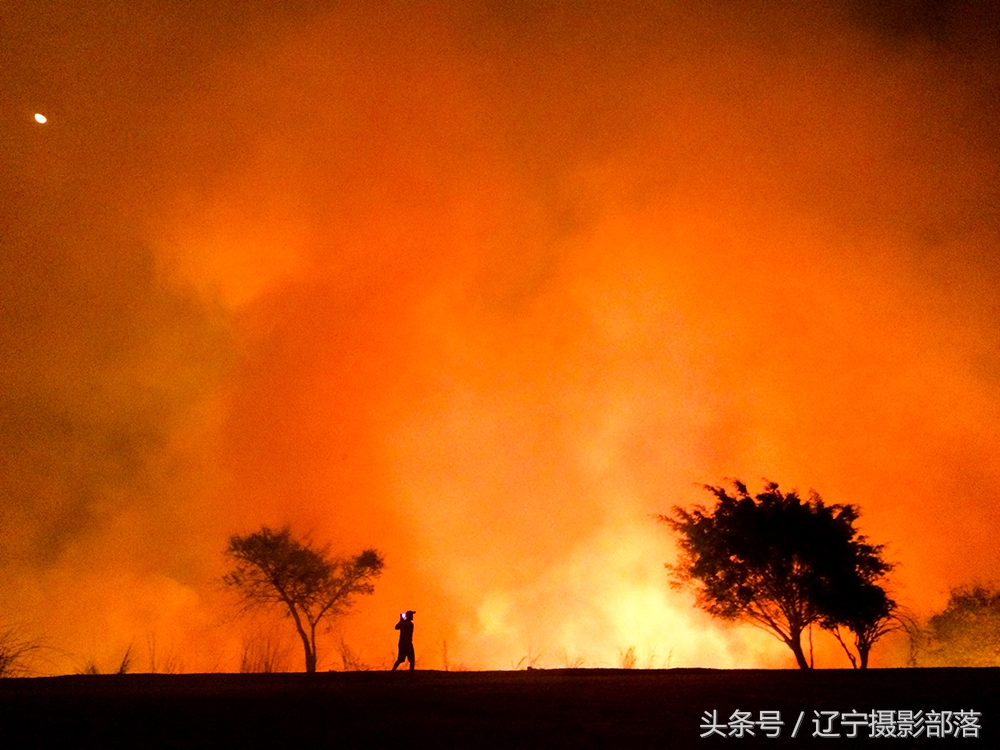 2020年ipa摄影奖获奖作品,ippa摄影大赛获奖作品2010