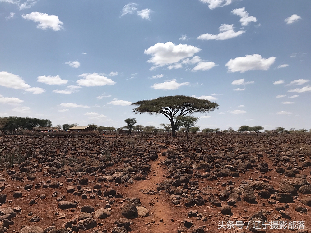 2020年ipa摄影奖获奖作品,ippa摄影大赛获奖作品2010