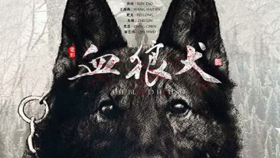 血狼犬电影高清完整版免费观看,狗哭怕狼