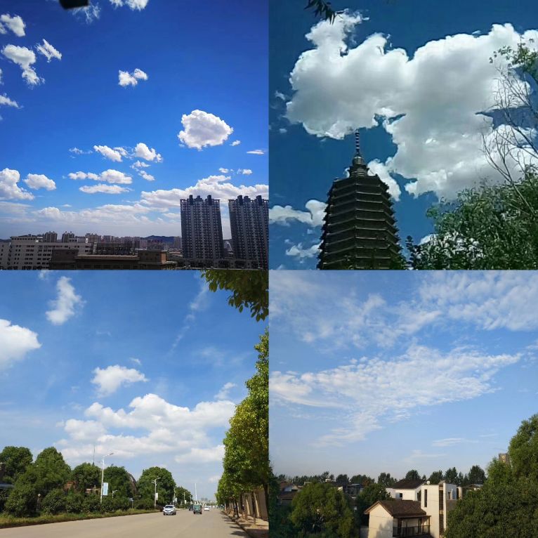 「词风雅韵」马晓琼｜缱绻于斯天地宽且散闲愁去