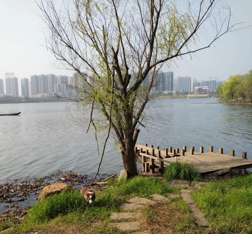 「词风雅韵」马晓琼｜缱绻于斯天地宽且散闲愁去