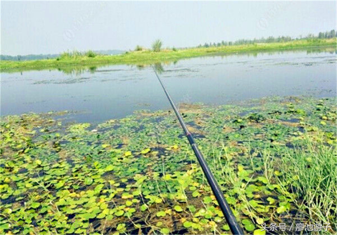 单钩通线钓鲫鱼怎么调漂,单钩挂蚯蚓调漂最佳方法