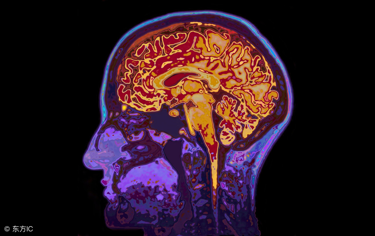 头出现眩晕是怎么回事,头又胀又晕是什么症状