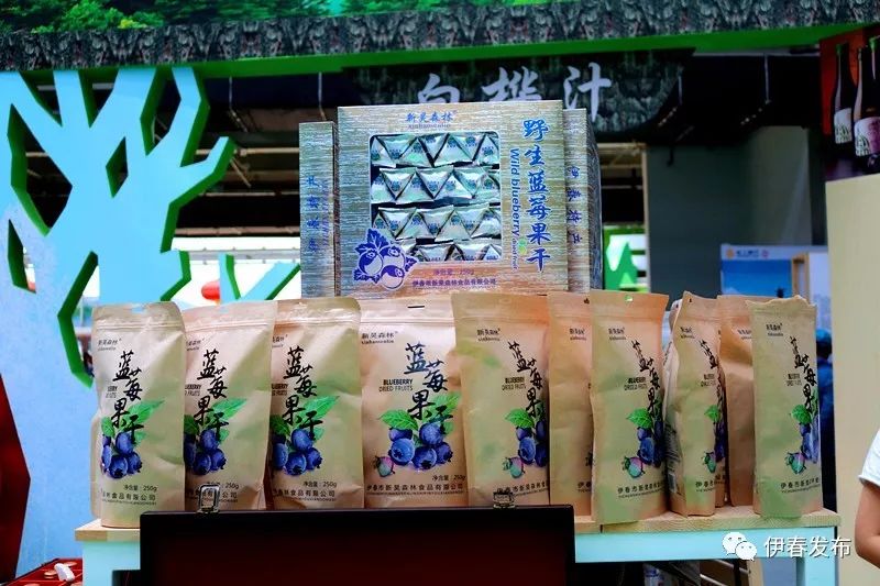 聚焦|七月“森博”热林城