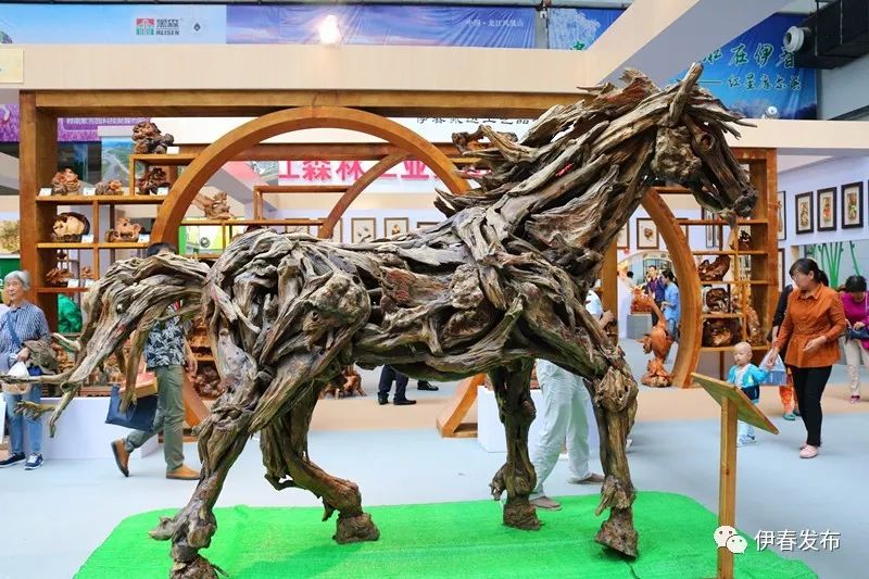 聚焦|七月“森博”热林城