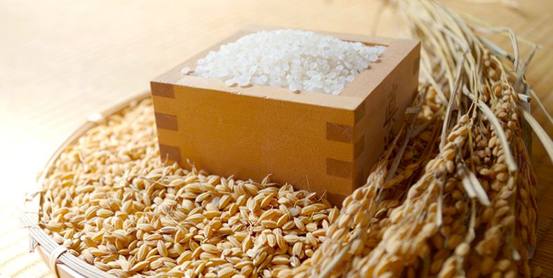 日本最热卖护肤品,日本销量第一洗脸神器