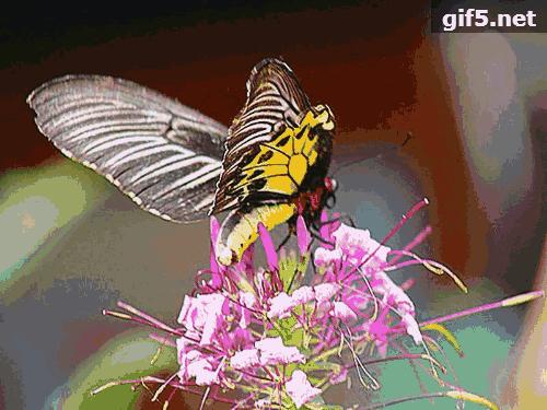 带你探寻最美赛道,名不虚传路演