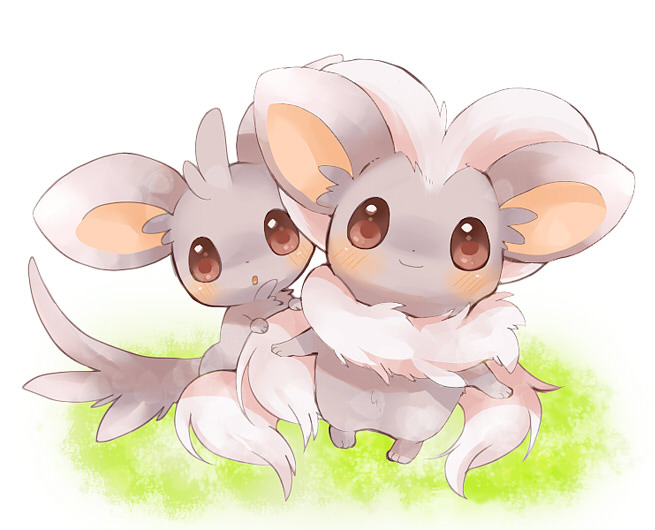 都有哪些宠物小精灵,十大最火的宠物小精灵