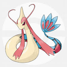 都有哪些宠物小精灵,十大最火的宠物小精灵