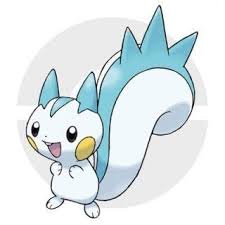 都有哪些宠物小精灵,十大最火的宠物小精灵