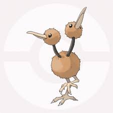 都有哪些宠物小精灵,十大最火的宠物小精灵