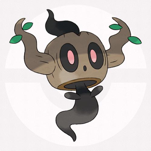 都有哪些宠物小精灵,十大最火的宠物小精灵