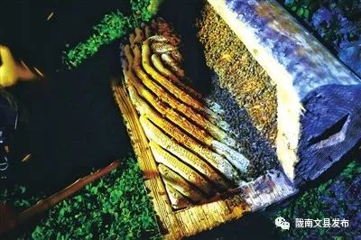 中国媒体看甘孜,四川文县旅游宣传片