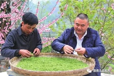 中国媒体看甘孜,四川文县旅游宣传片