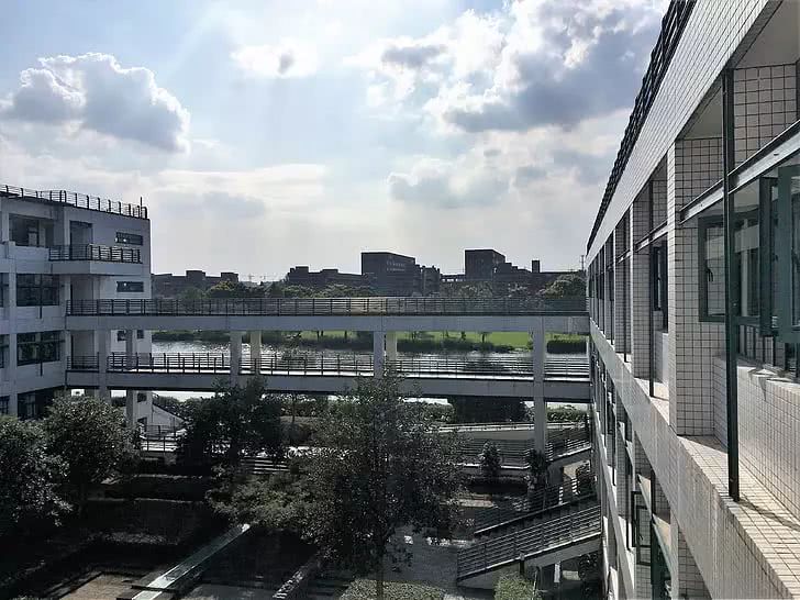 大学新生入学:辅修与双修,你想怎么选