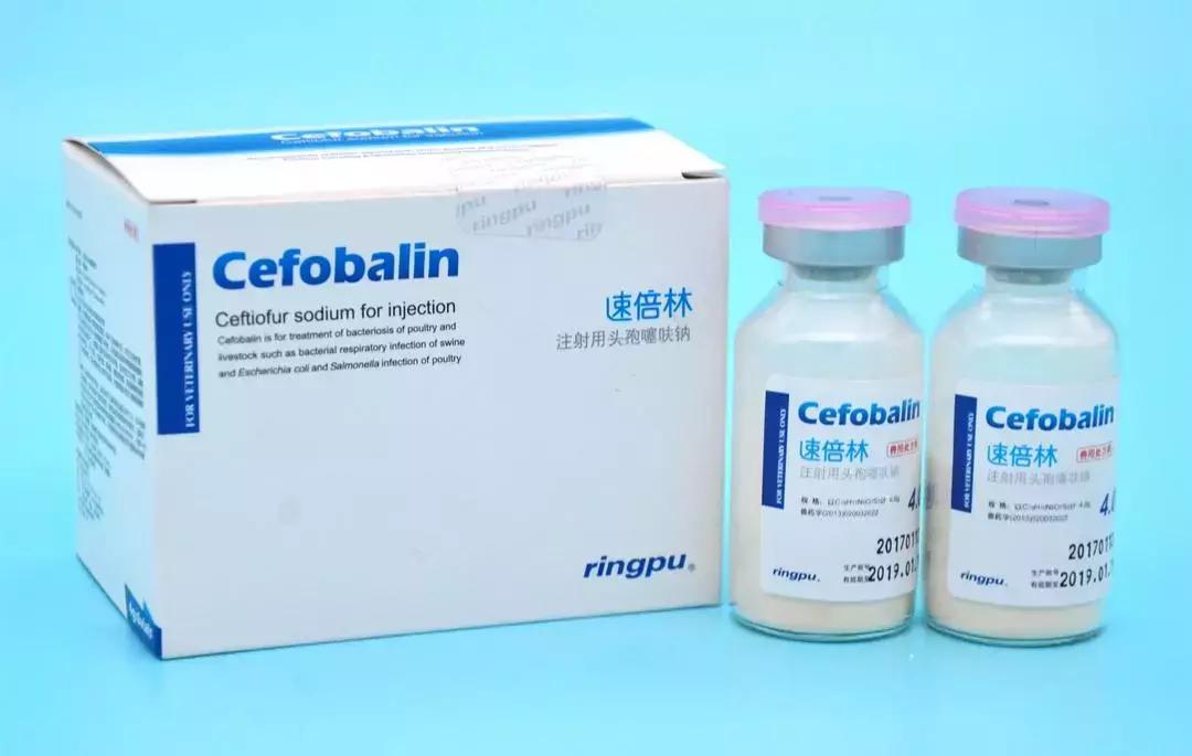 禽大肠杆菌预防首选药,禽大肠杆菌用什么药