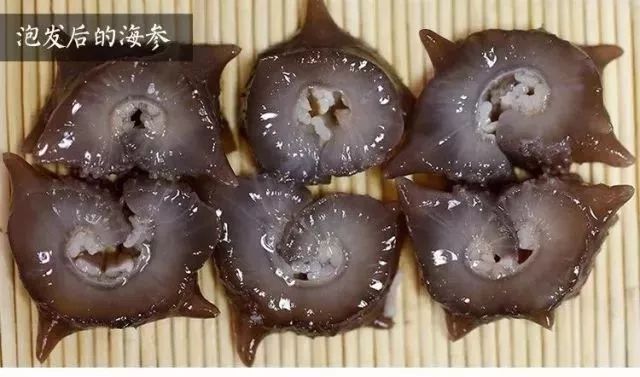 海参你必须知道的那些事,海参市场内幕视频