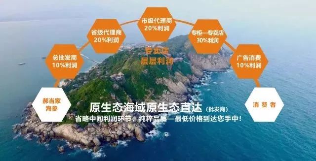 海参你必须知道的那些事,海参市场内幕视频