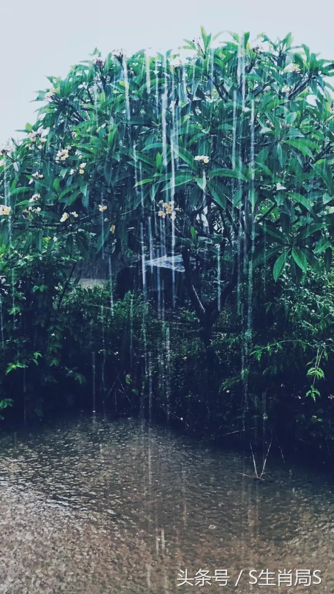 十二生肖一周运势预报10.8-10.14,谷雨节气后十二生肖运势