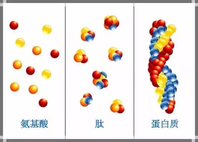 FF眼霜,肽+VC的秘密