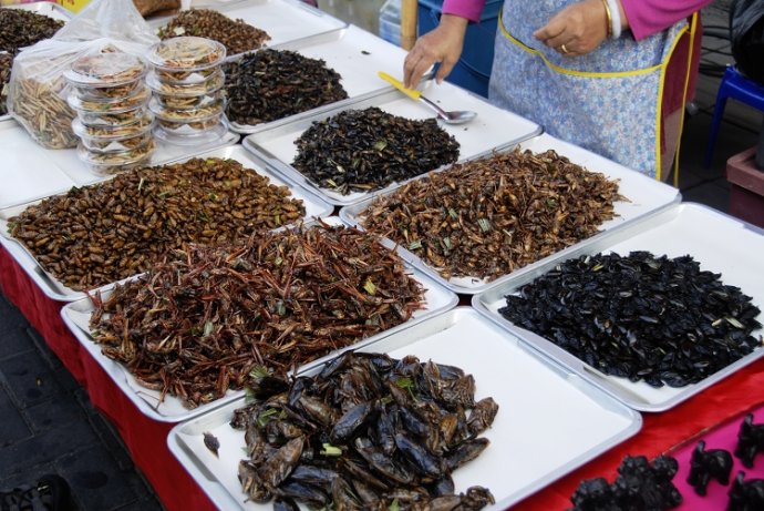 亲历泰国清迈夜市,泰国清迈十大夜市排名