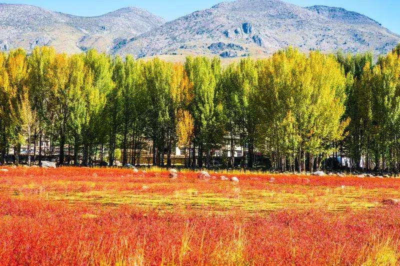 南航直飞稻城亚丁,稻城亚丁直飞内地航班