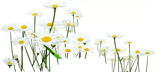 贫困户高学生贷款要什么手续,贫困学生贷款怎么办理