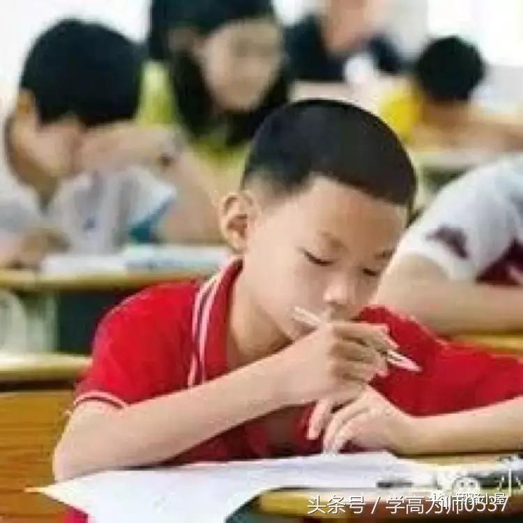 部编版二年级语文上册课内阅读专项练习暑假复习专用