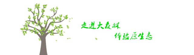 又双叒叕来搞事,解锁“网红”打卡新姿势,老乐山网红走廊等你来