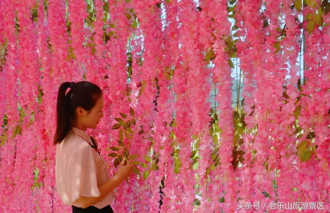 又双叒叕来搞事,解锁“网红”打卡新姿势,老乐山网红走廊等你来