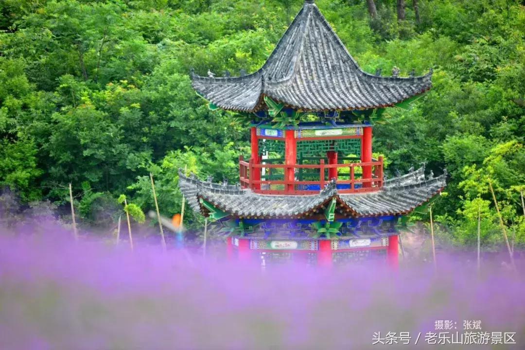 又双叒叕来搞事,解锁“网红”打卡新姿势,老乐山网红走廊等你来