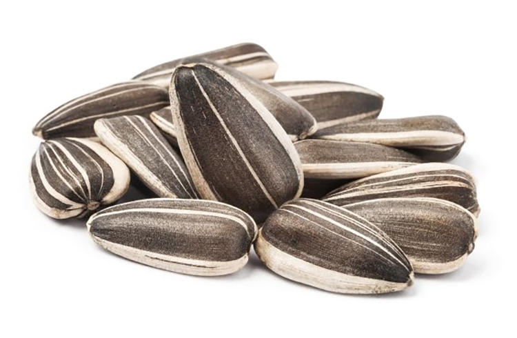 渣粮、品牌粮和自配粮,新手仓鼠粮的选择