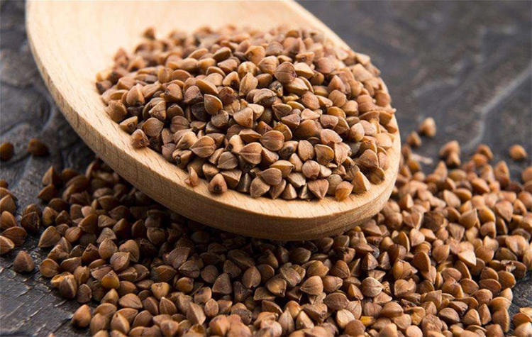 渣粮、品牌粮和自配粮,新手仓鼠粮的选择