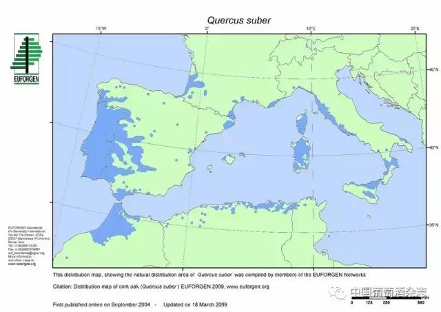 酒塞的秘密：千锤百炼出好塞