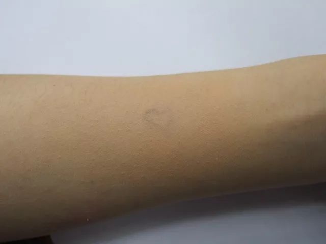 选粉底啦8款爆火持妆粉底测评,粉底推荐遮斑前十名红榜