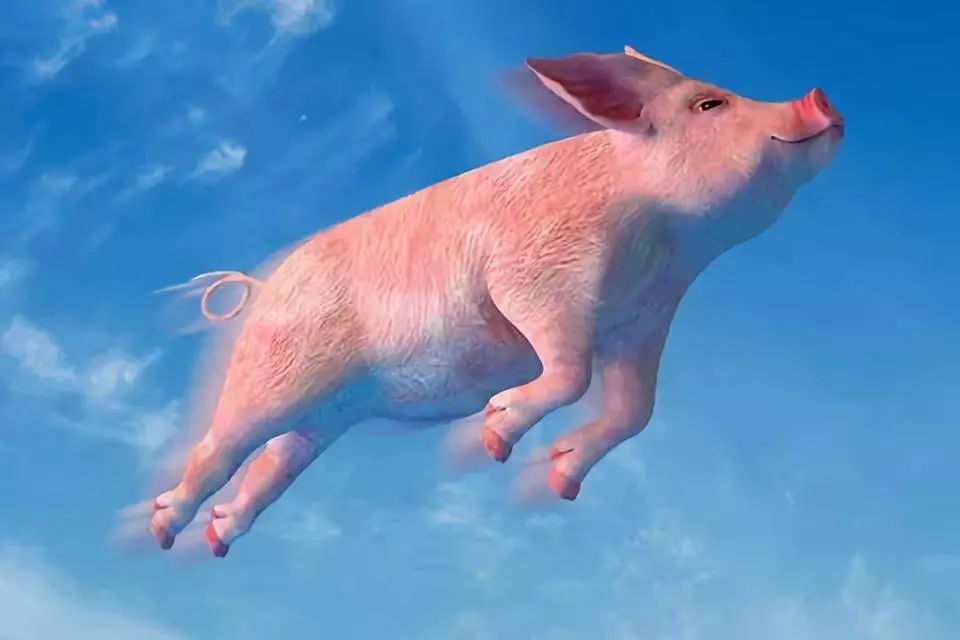 资讯板块大涨的原因,资讯市场分析