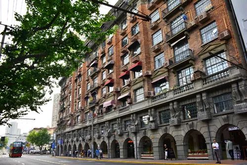 上海必去网红路,上海市闵行区浪漫的地方