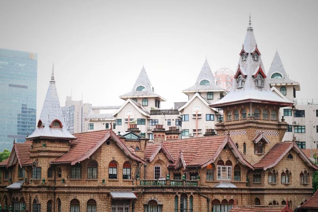 上海必去网红路,上海市闵行区浪漫的地方