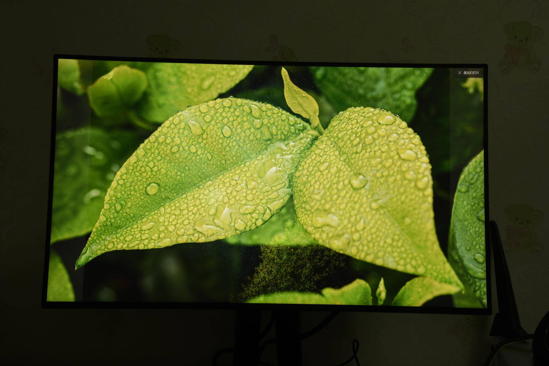 优派vp2468与vp2458区别,优派vp2468和戴尔u2422哪个好