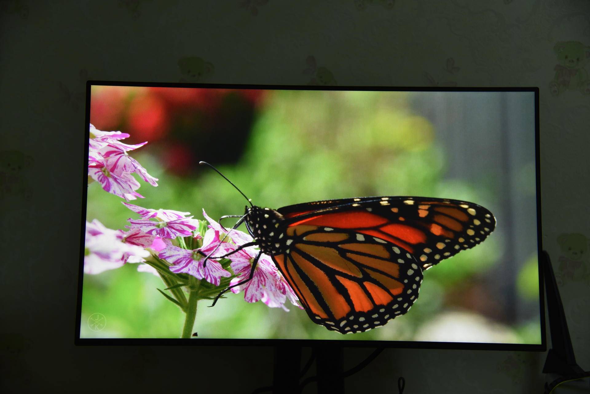 优派vp2468与vp2458区别,优派vp2468和戴尔u2422哪个好