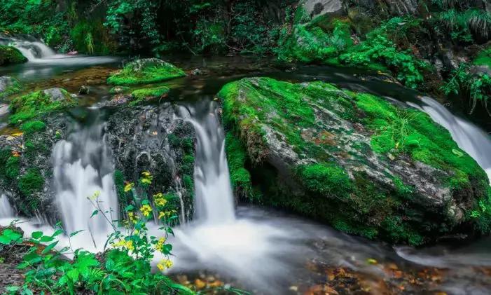 洛阳市景色好的地方,自驾洛阳避暑旅游攻略