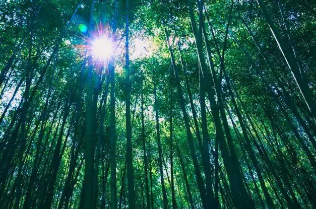 洛阳市景色好的地方,自驾洛阳避暑旅游攻略