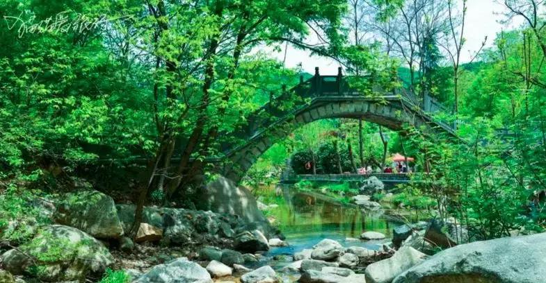 洛阳市景色好的地方,自驾洛阳避暑旅游攻略