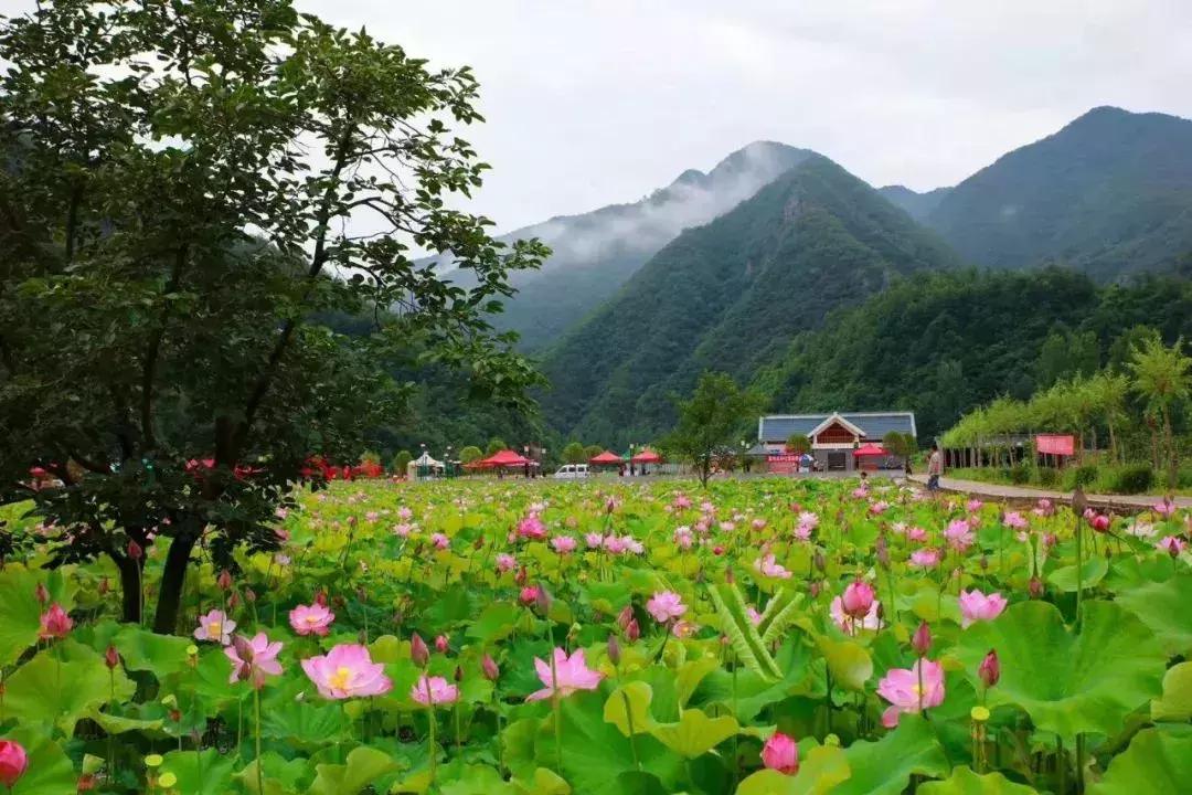 洛阳市景色好的地方,自驾洛阳避暑旅游攻略