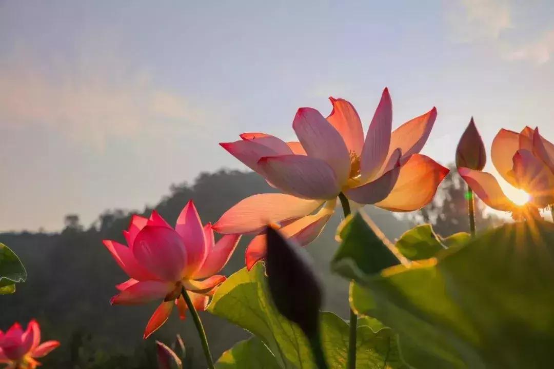 洛阳市景色好的地方,自驾洛阳避暑旅游攻略