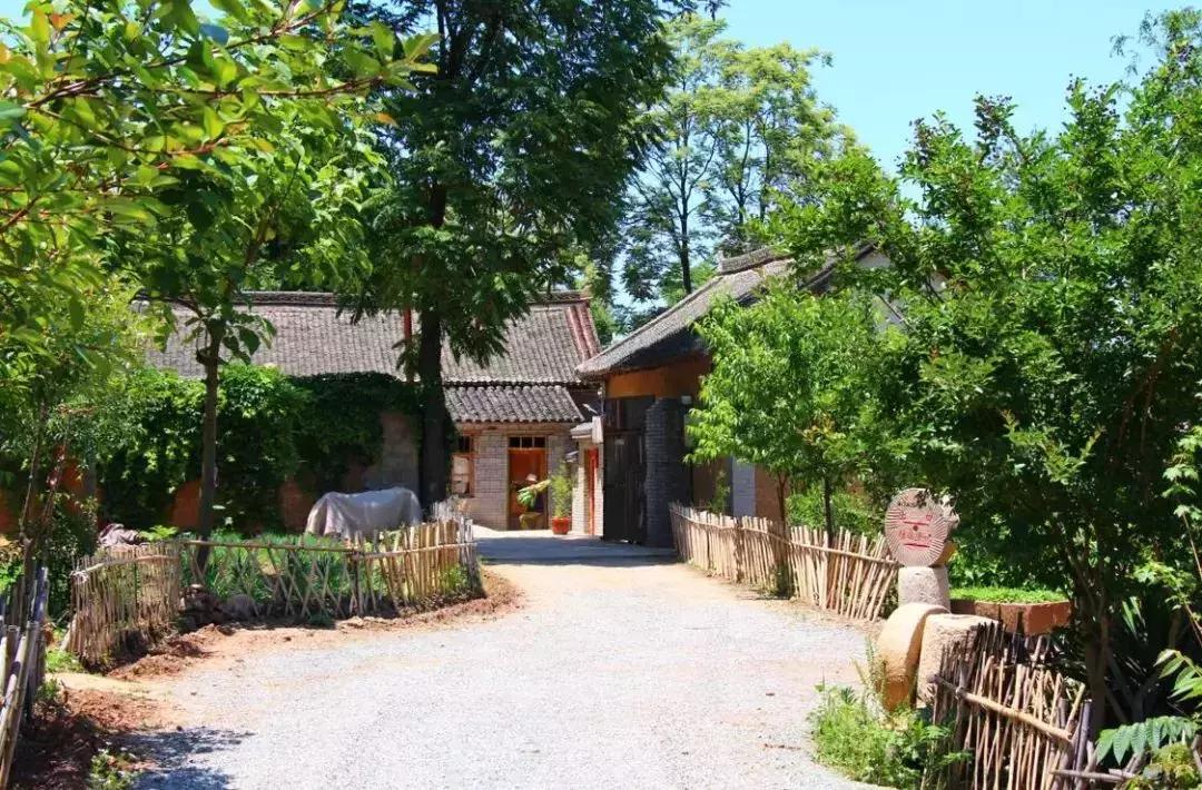 洛阳市景色好的地方,自驾洛阳避暑旅游攻略