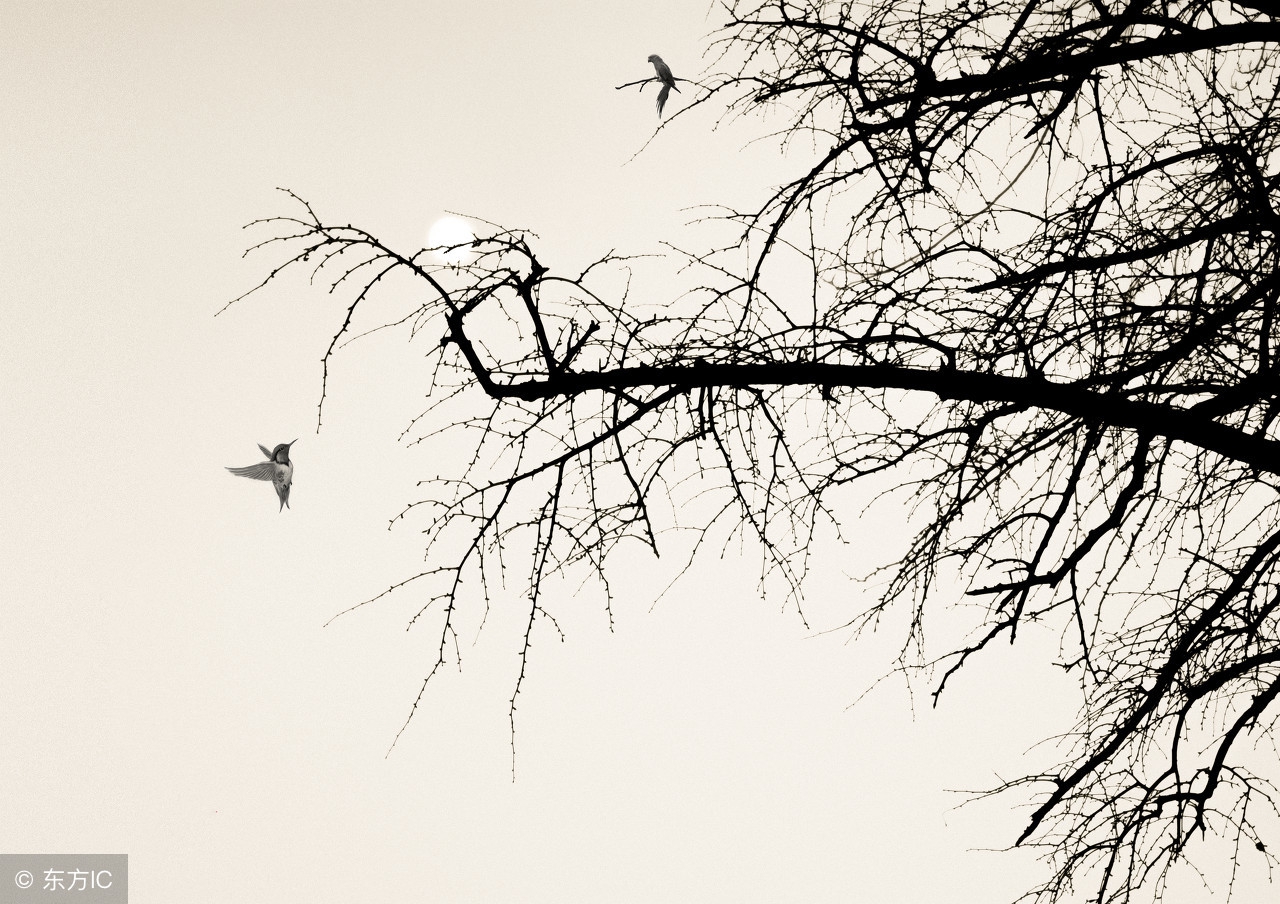 古人的称呼有什么讲究,古代的称呼和礼节