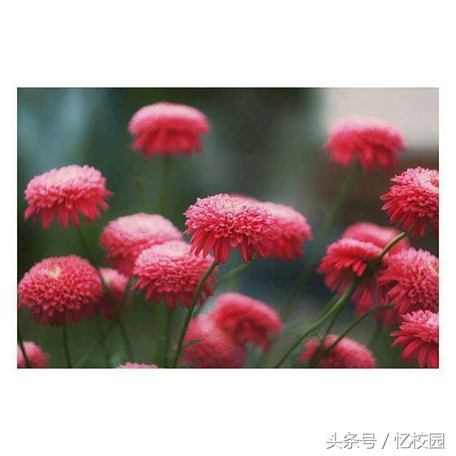 适合做qq签名的经典句子,适合做qq签名的句子短句