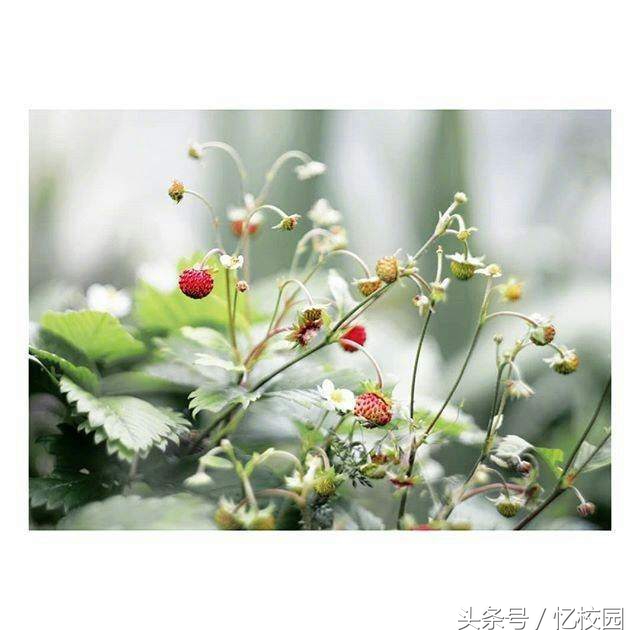 适合做qq签名的经典句子,适合做qq签名的句子短句